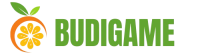 Logo budigame.com