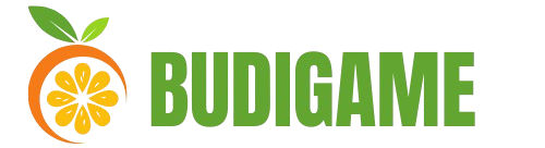 budigame.com